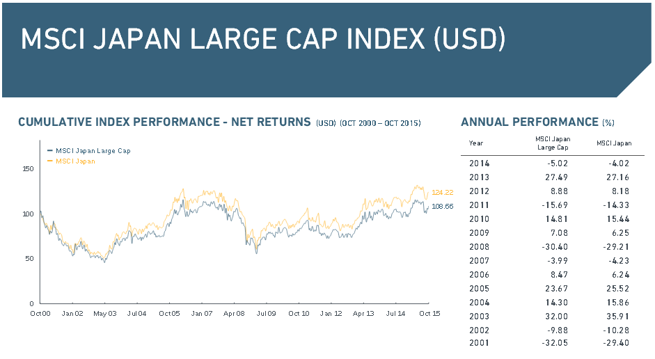 Der MSCI Large Cap Index im Überblick