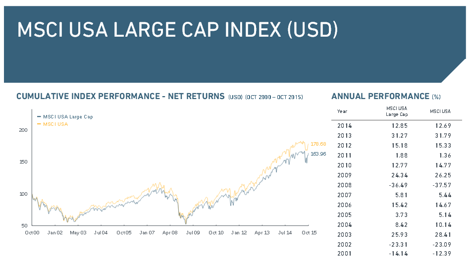 MSCI USA Large Cap Index in der Übersicht